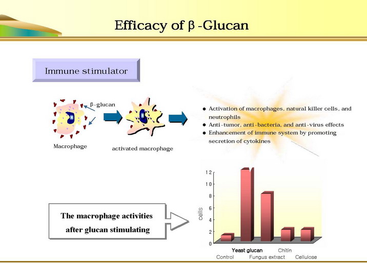 skin penetration glucan Beta
